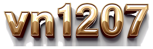 vn1207 logo